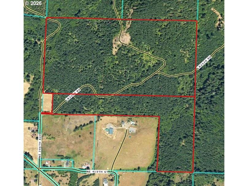 0 NE 206 AVE, Amboy, WA 98601