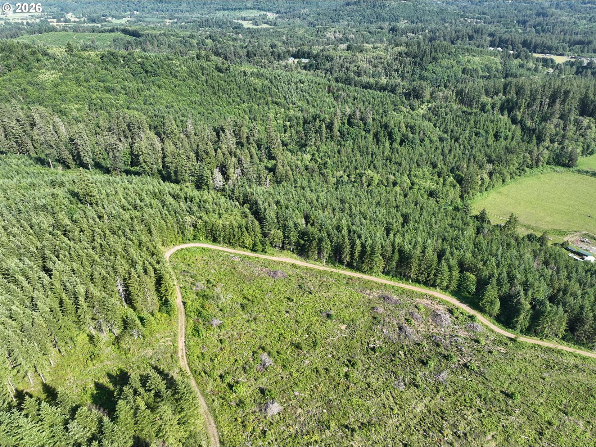 0 NE 206 AVE, Amboy, WA 98601