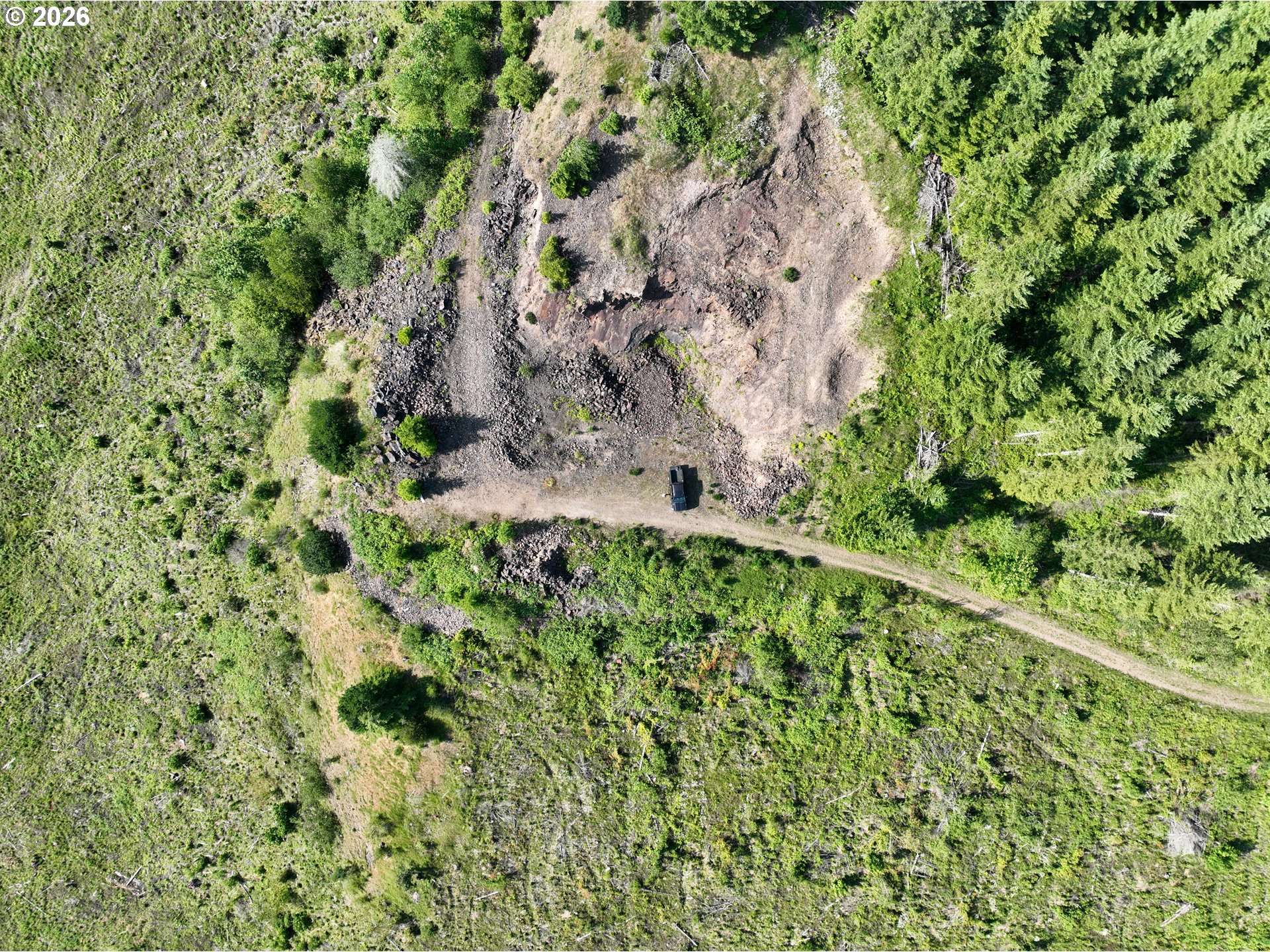 0 NE 206 AVE, Amboy, WA 98601