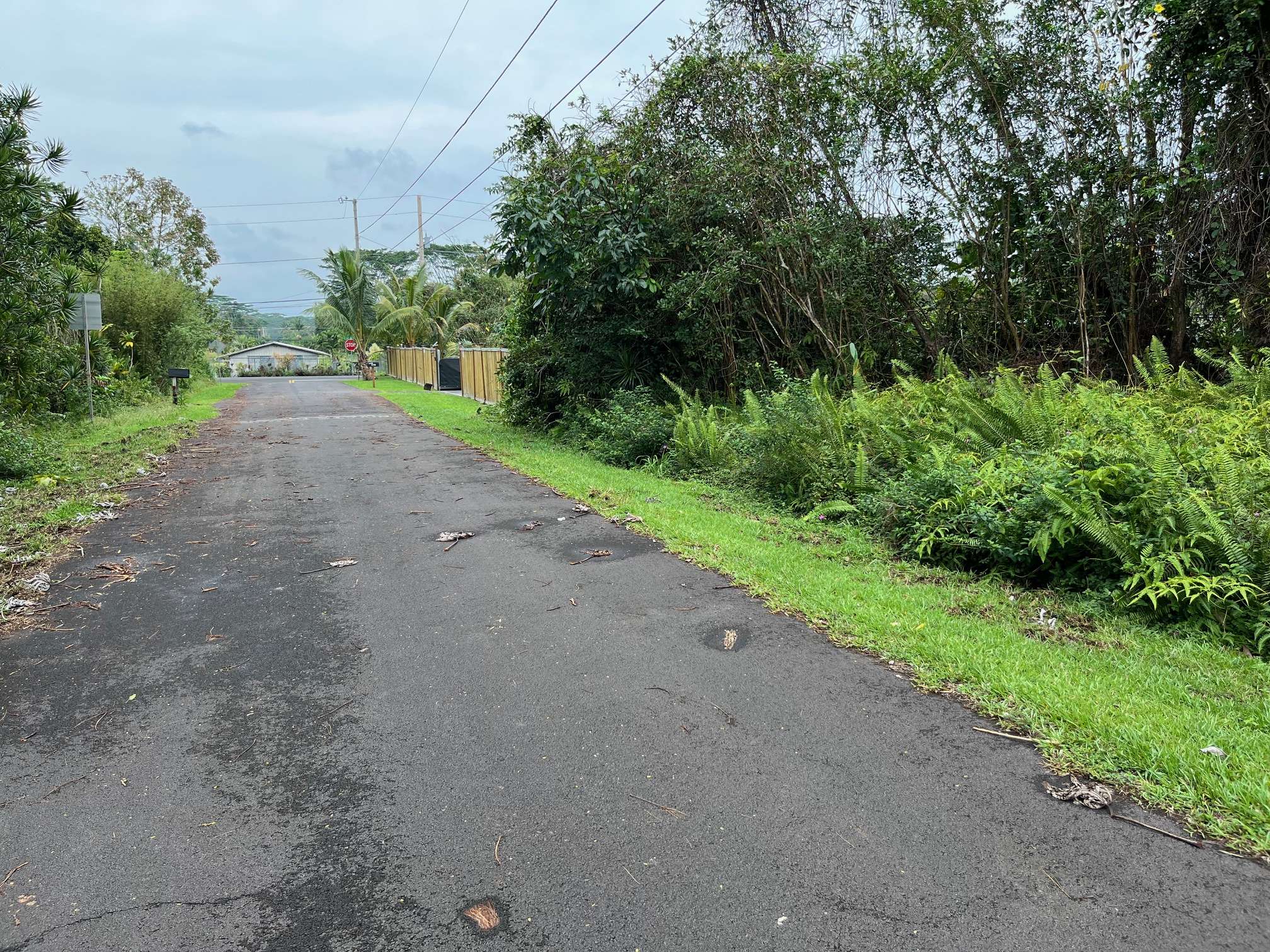 IAO ST, Pahoa, HI 96778