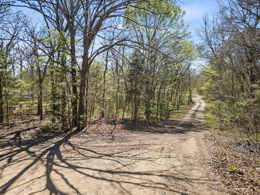 0 County Road 1687, Alba, TX 75410