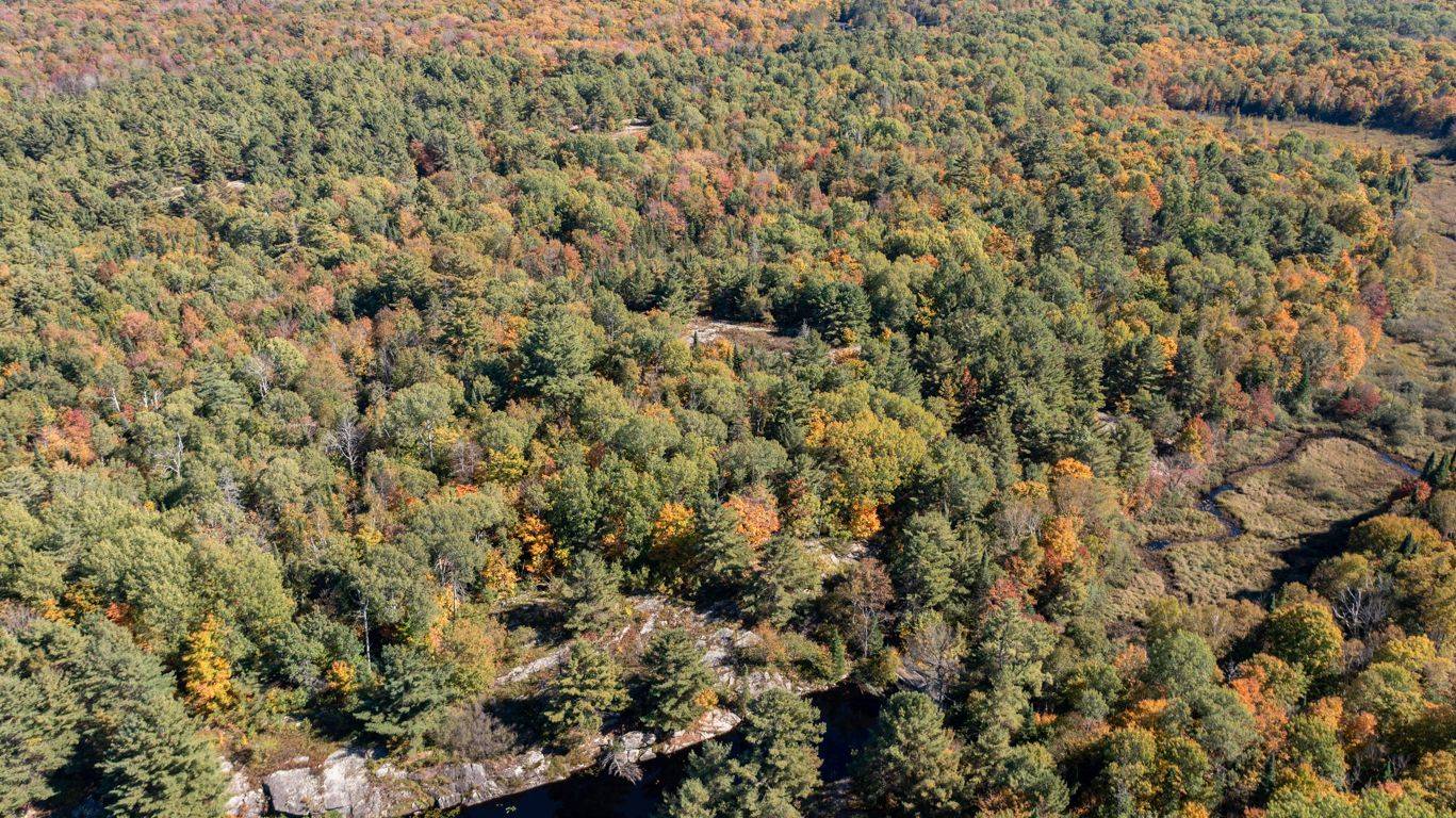 0 Shebeshekong RD, Carling, ON P0G 1G0