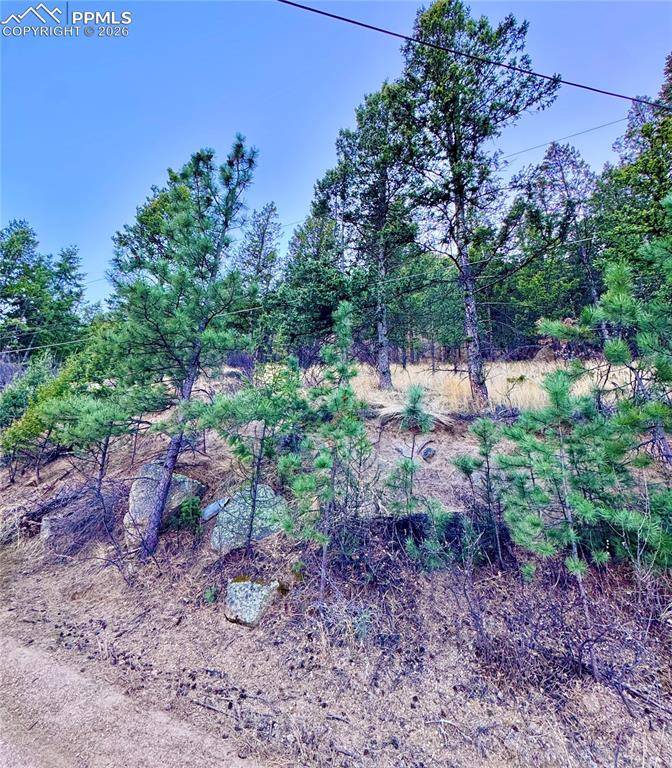 Lot 13 Harrison ST, Green Mountain Falls, CO 80819