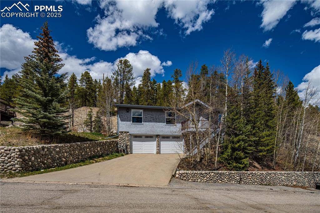 1803 Ridgeview DR, Leadville, CO 80461