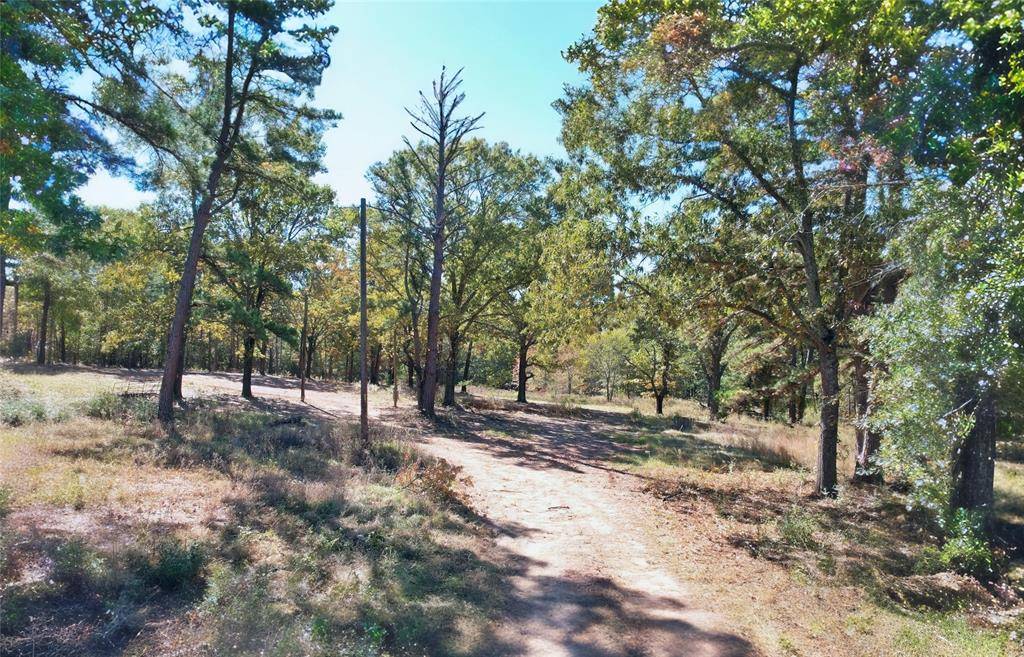 7559 N US Highway 69, Alba, TX 75410