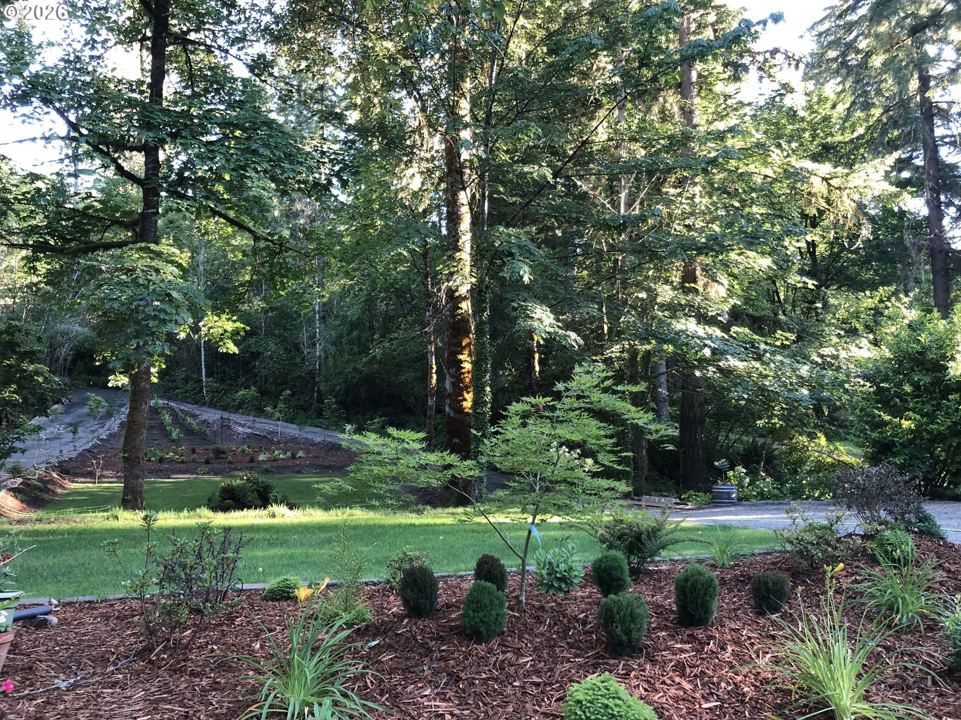 47207 GOODPASTURE RD, Vida, OR 97488