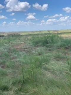 000 McDonald, Bellevue, TX 76228