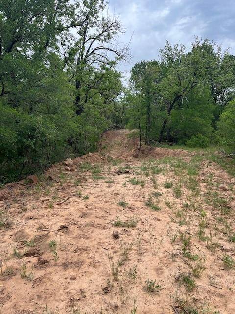 W. 23 Hoffman Road, Loving, TX 76460
