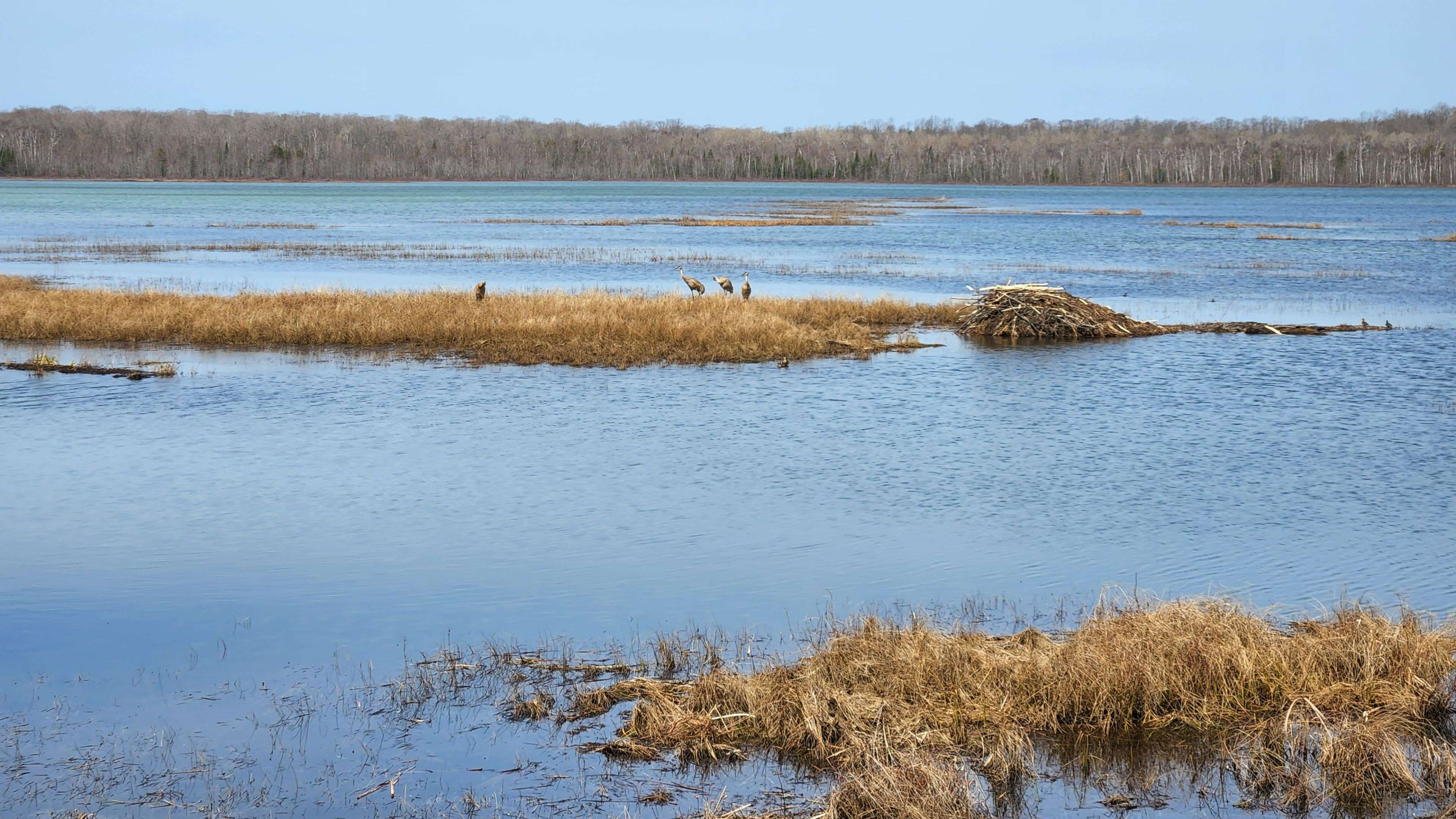 LOT1 Red Bay RD, South Bruce Peninsula, ON N0H 2T0