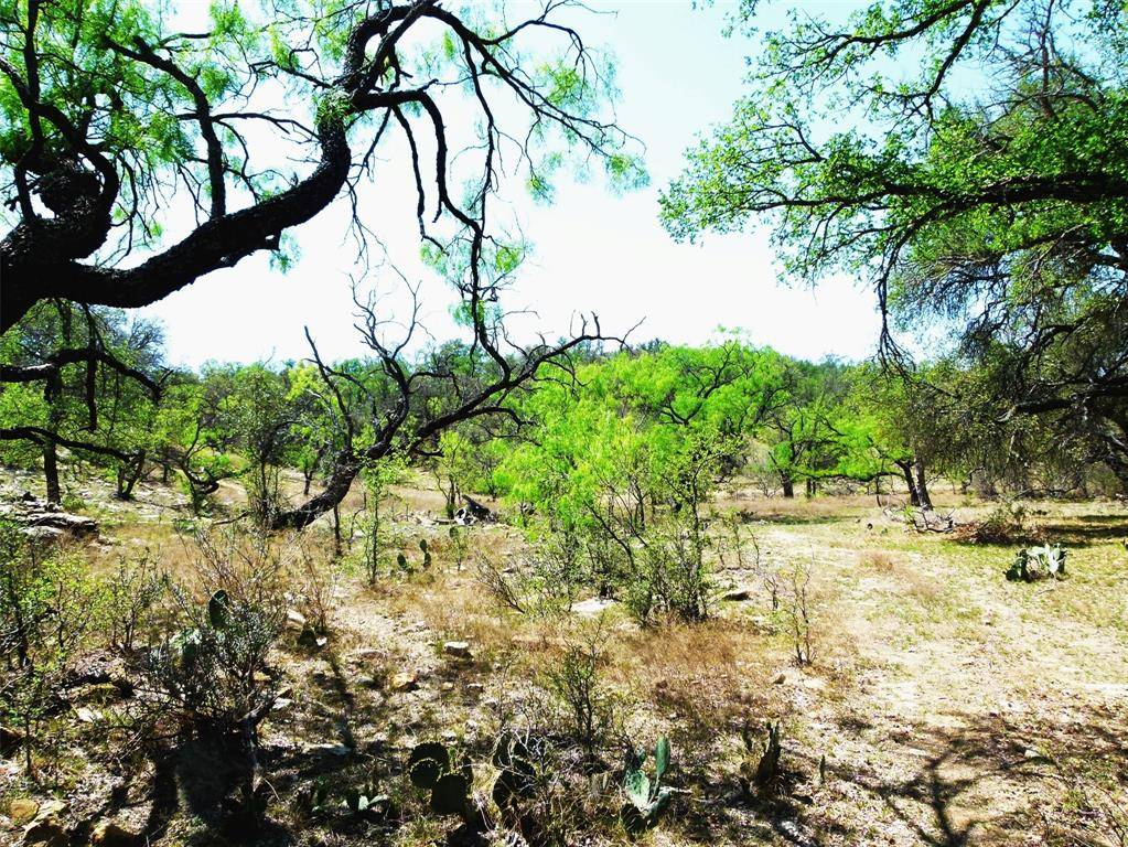 TBD Hwy 377 S, Brookesmith, TX 76827