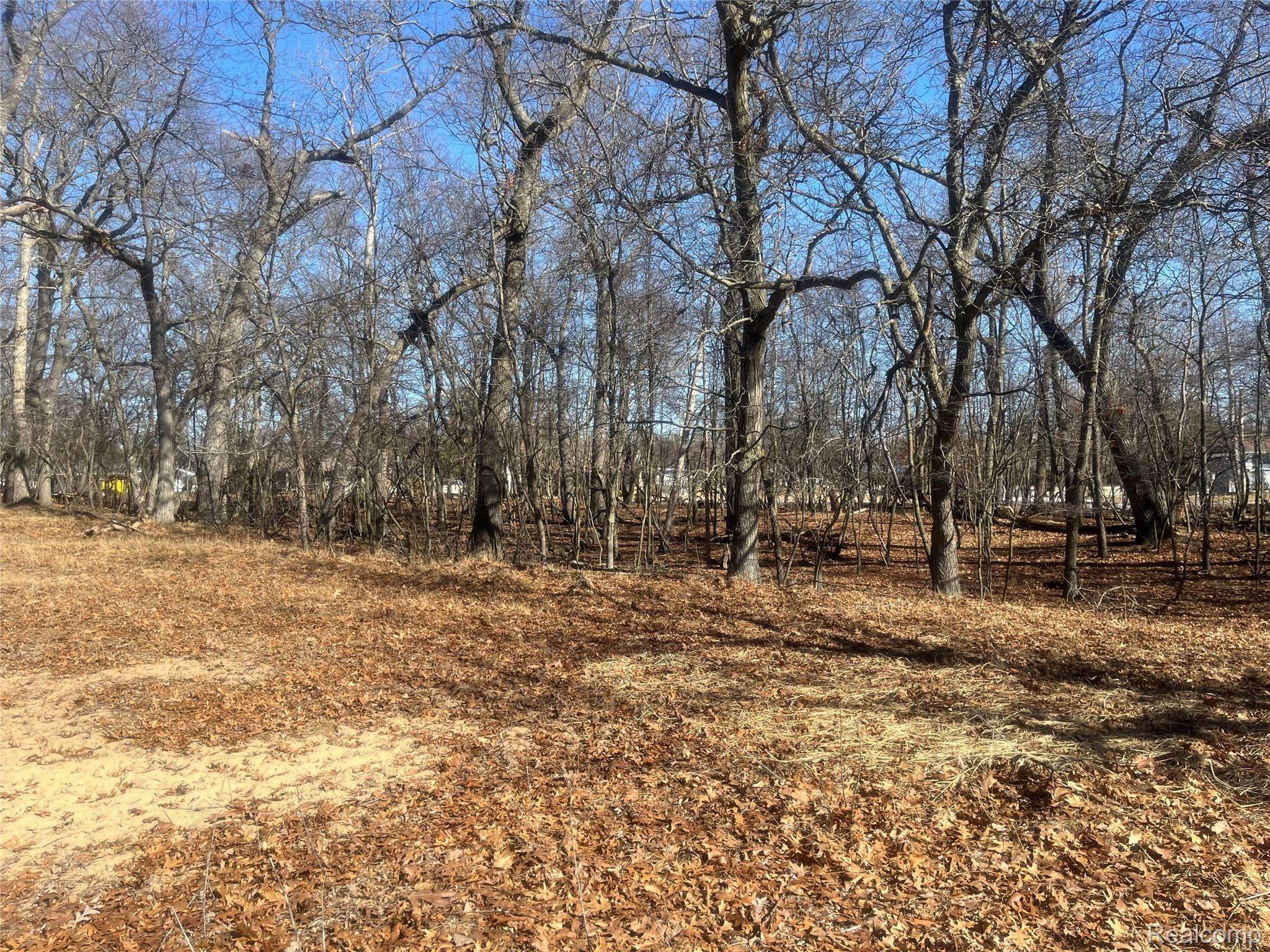 0 White Sands Drive, Caseville Township, MI 48755