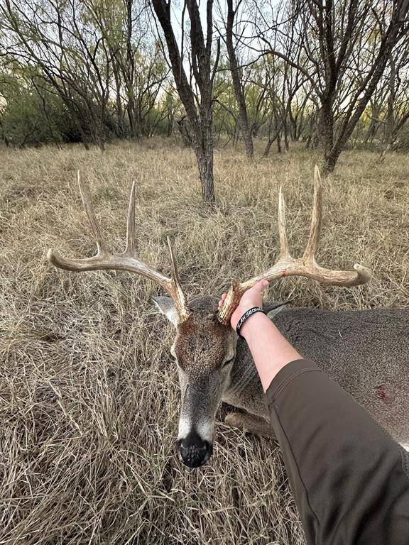 6525 US 180, Anson, TX 79501