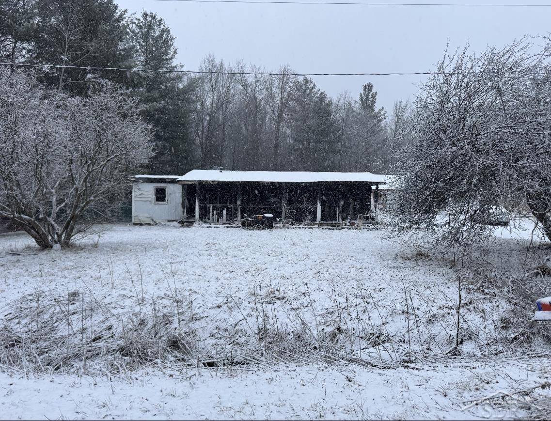 13849 W Townline RD, Brant Twp, MI 48655