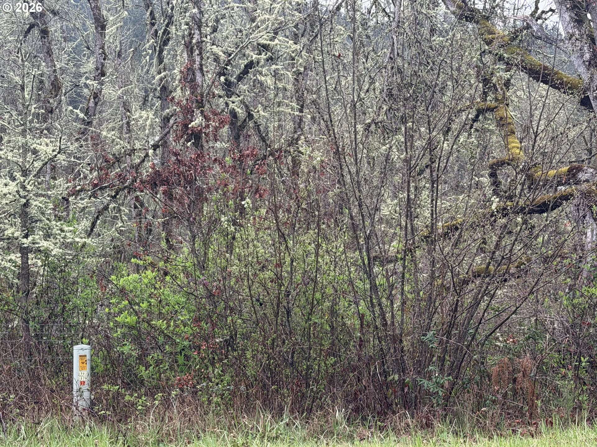 82750 BEAR CREEK RD, Creswell, OR 97426