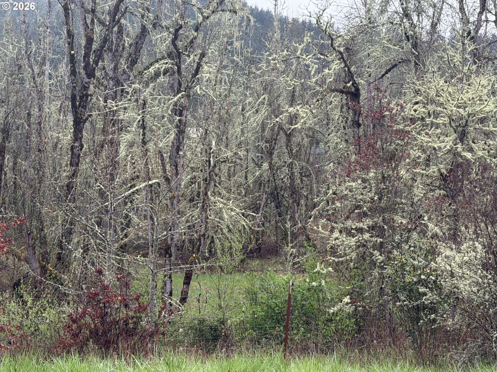 82750 BEAR CREEK RD, Creswell, OR 97426