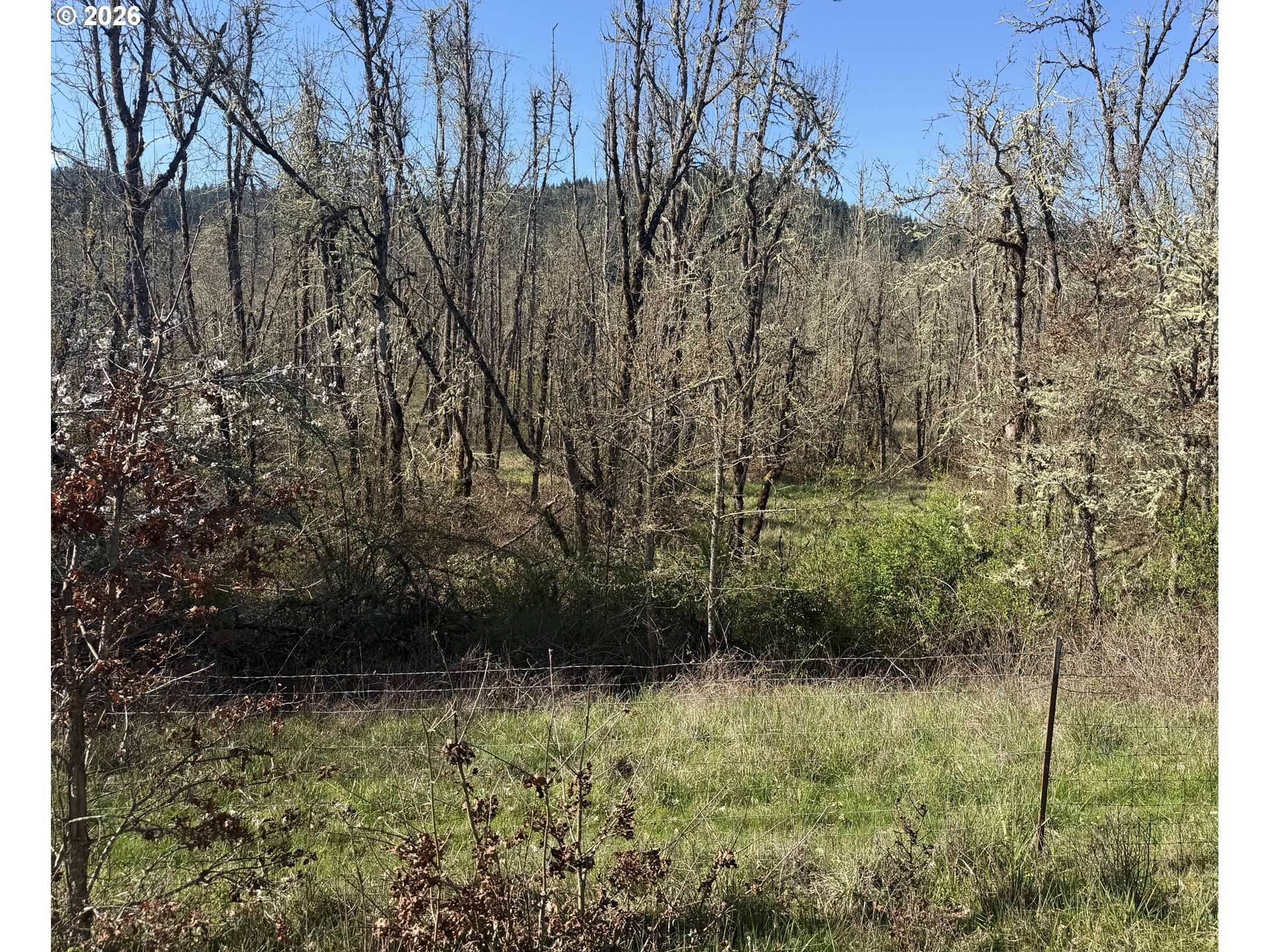 82750 BEAR CREEK RD, Creswell, OR 97426