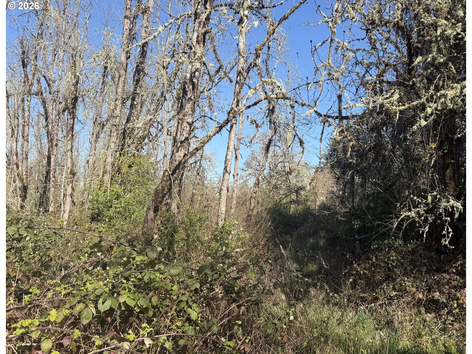 82750 BEAR CREEK RD, Creswell, OR 97426