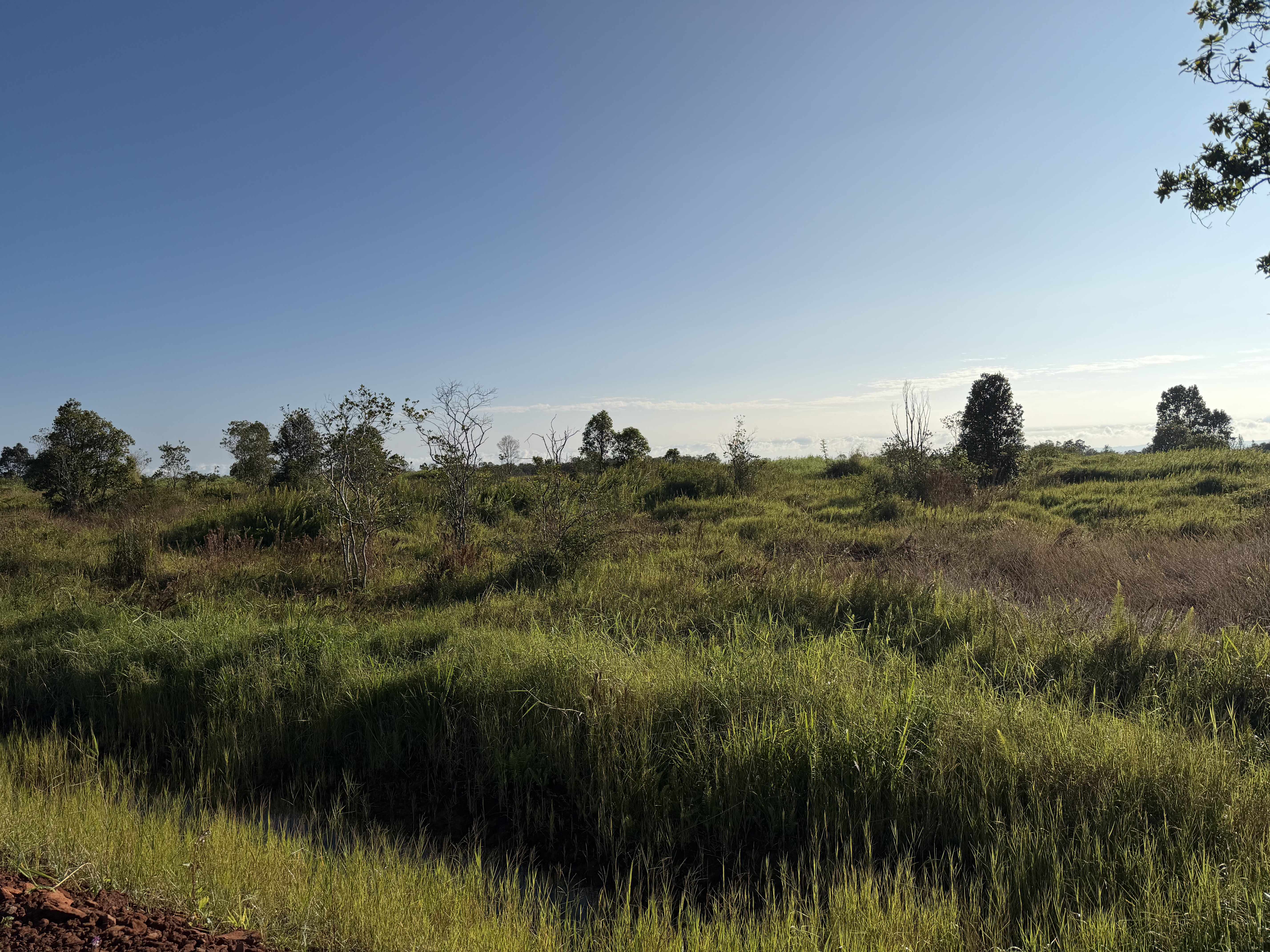 WAILANI NUI DR, Mountain View, HI 96771