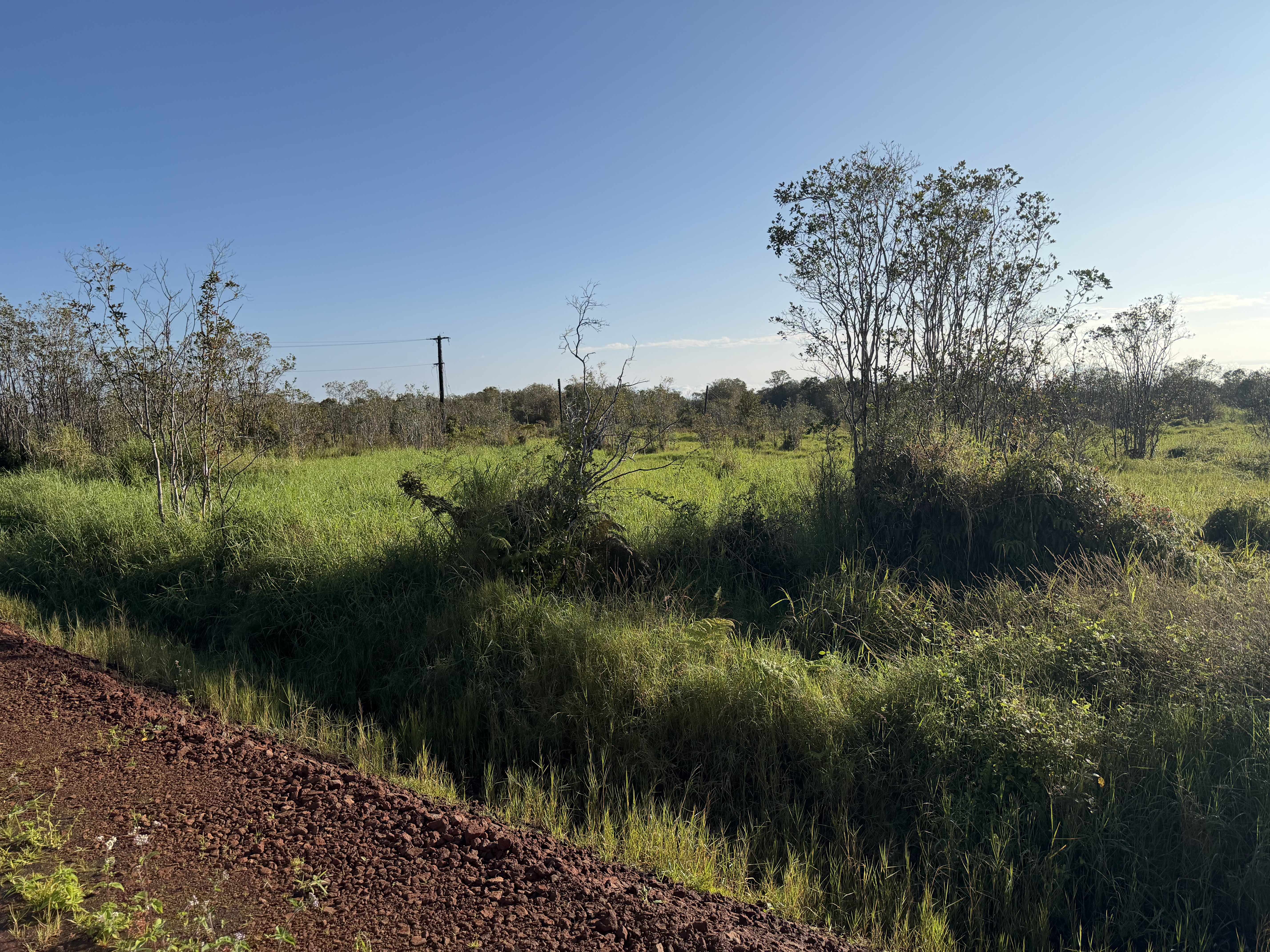 WAILANI NUI DR, Mountain View, HI 96771