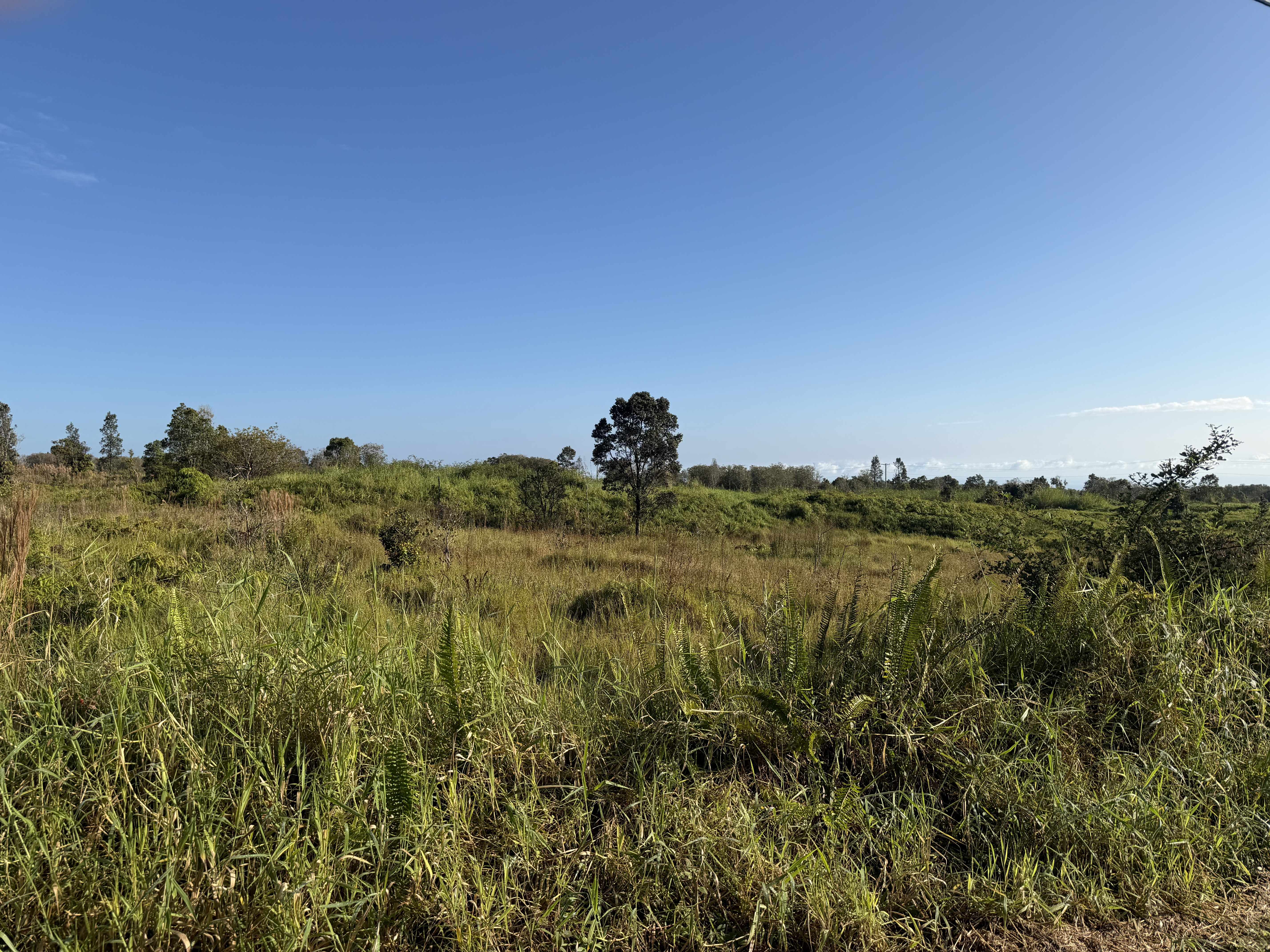 WAILANI NUI DR, Mountain View, HI 96771