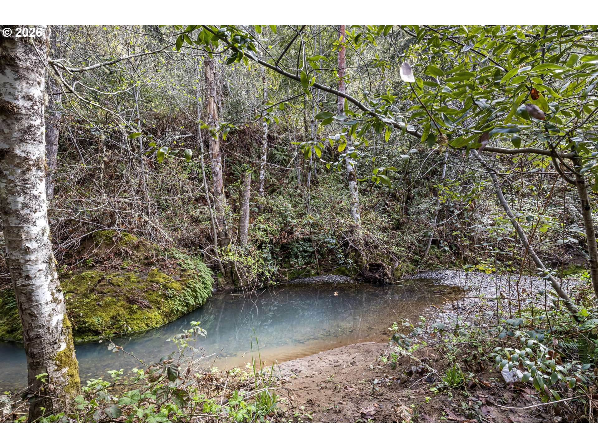 505 SIBOLD CANYON RD, Tenmile, OR 97481