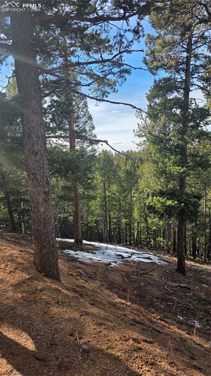 321 Tillicum TRL, Woodland Park, CO 80863