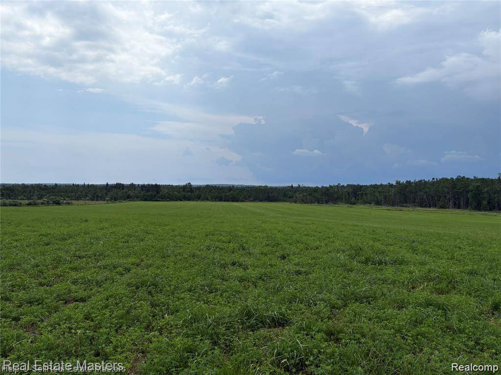 300 W Hubert RD, Caledonia Township, MI 48762