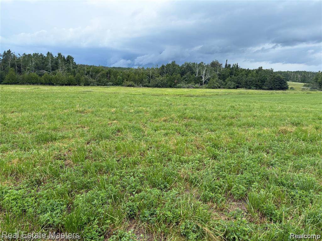 300 W Hubert RD, Caledonia Township, MI 48762