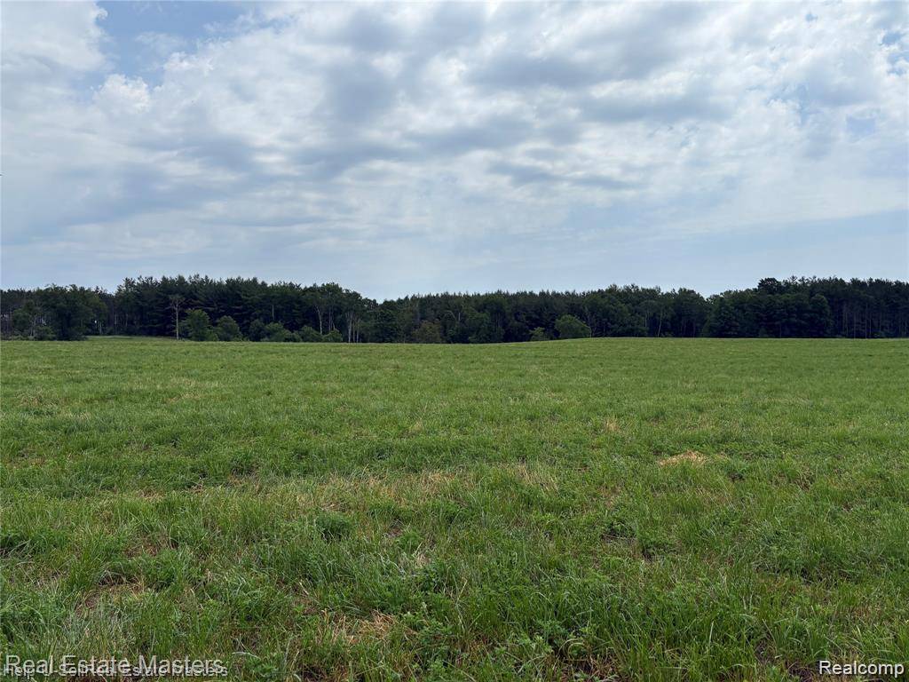 300 W Hubert RD, Caledonia Township, MI 48762