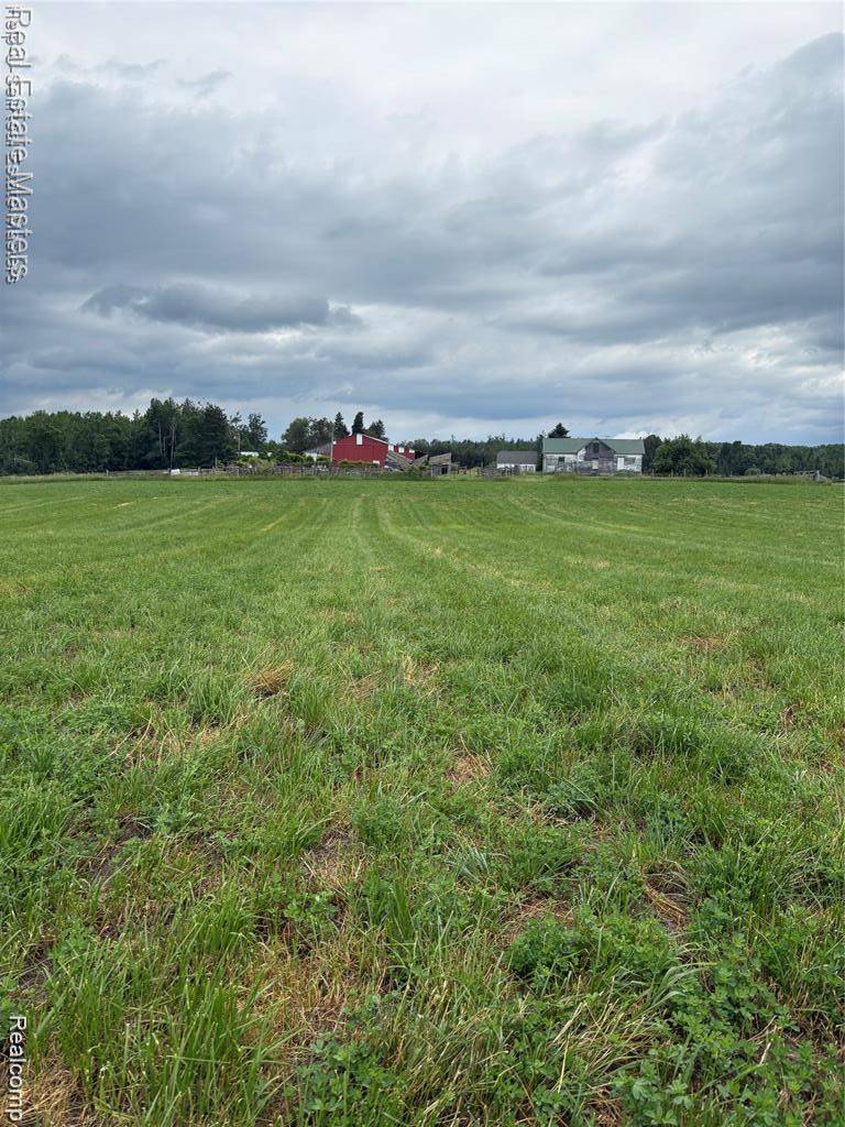 300 W Hubert RD, Caledonia Township, MI 48762