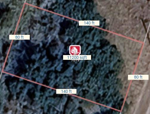 7079 Cedar Valley Drive, Whitney, TX 76692