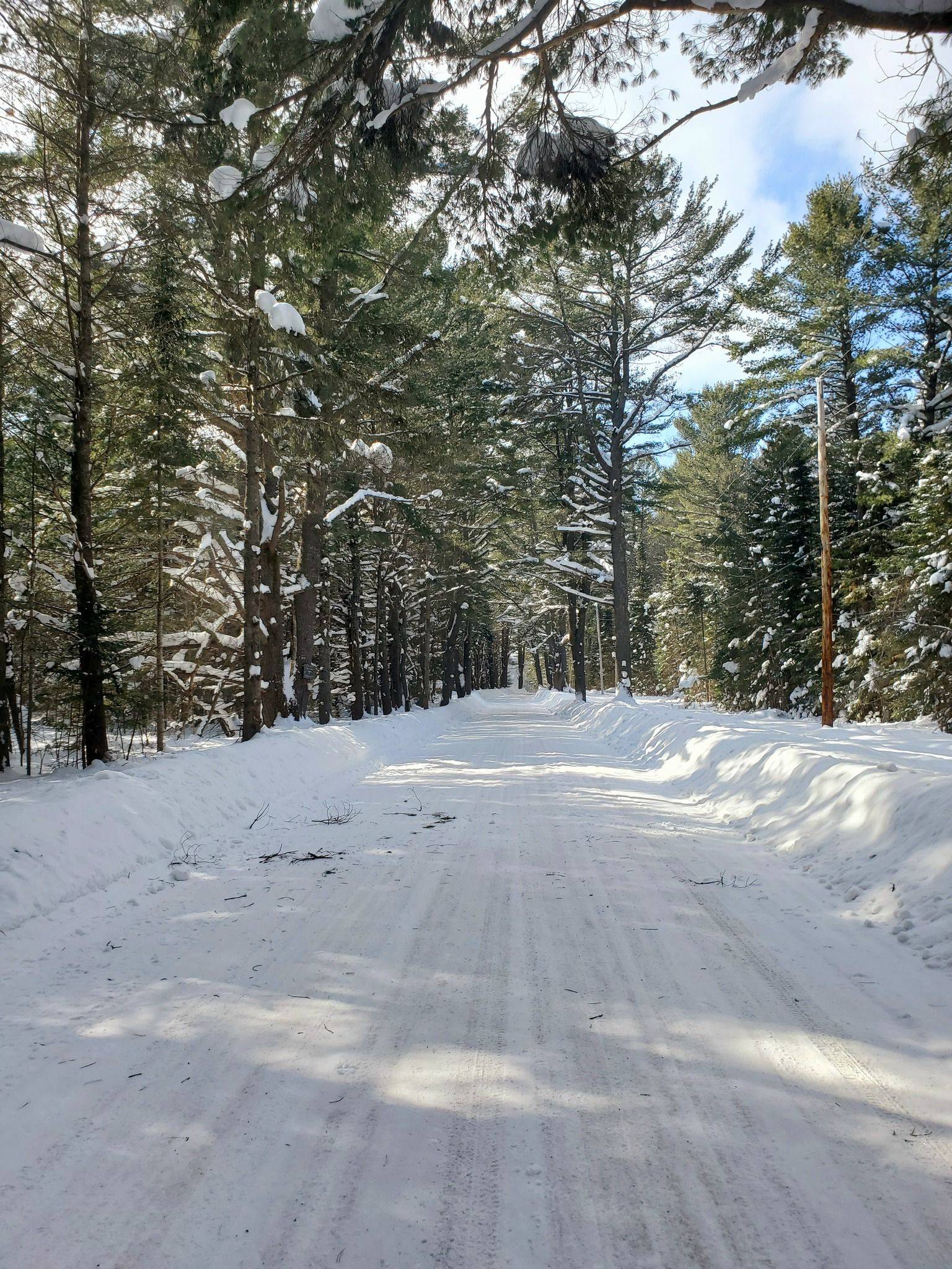 0 CARDWELL LAKE RD, Huntsville, ON P0B 1M0