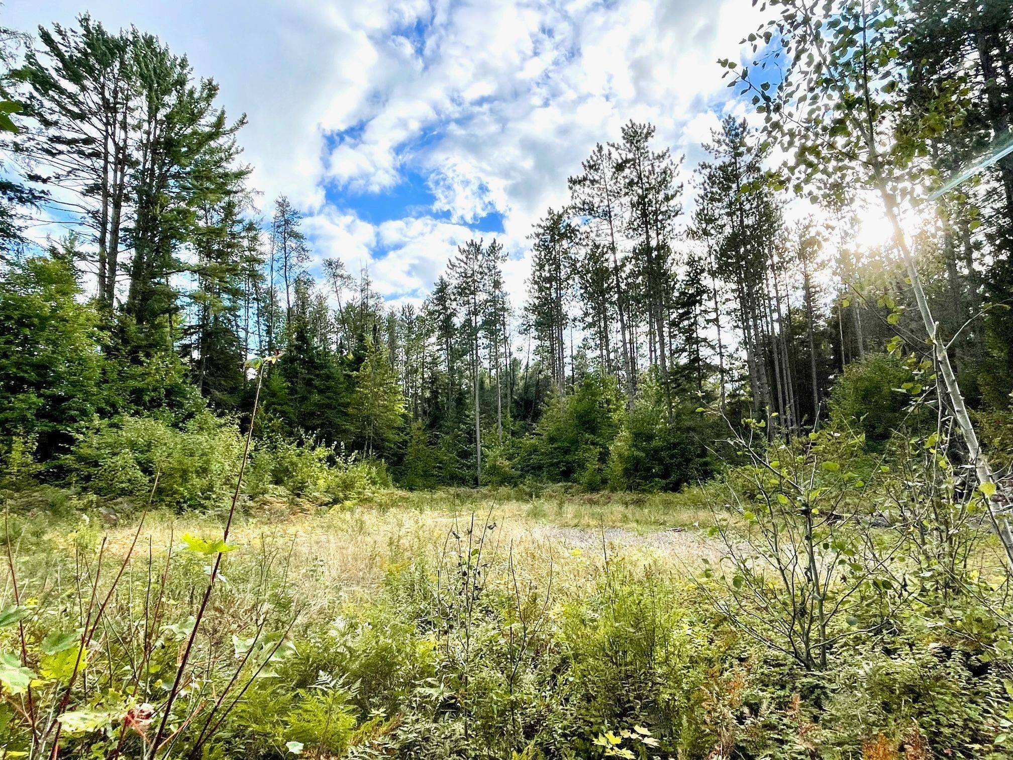 0 CARDWELL LAKE RD, Huntsville, ON P0B 1M0