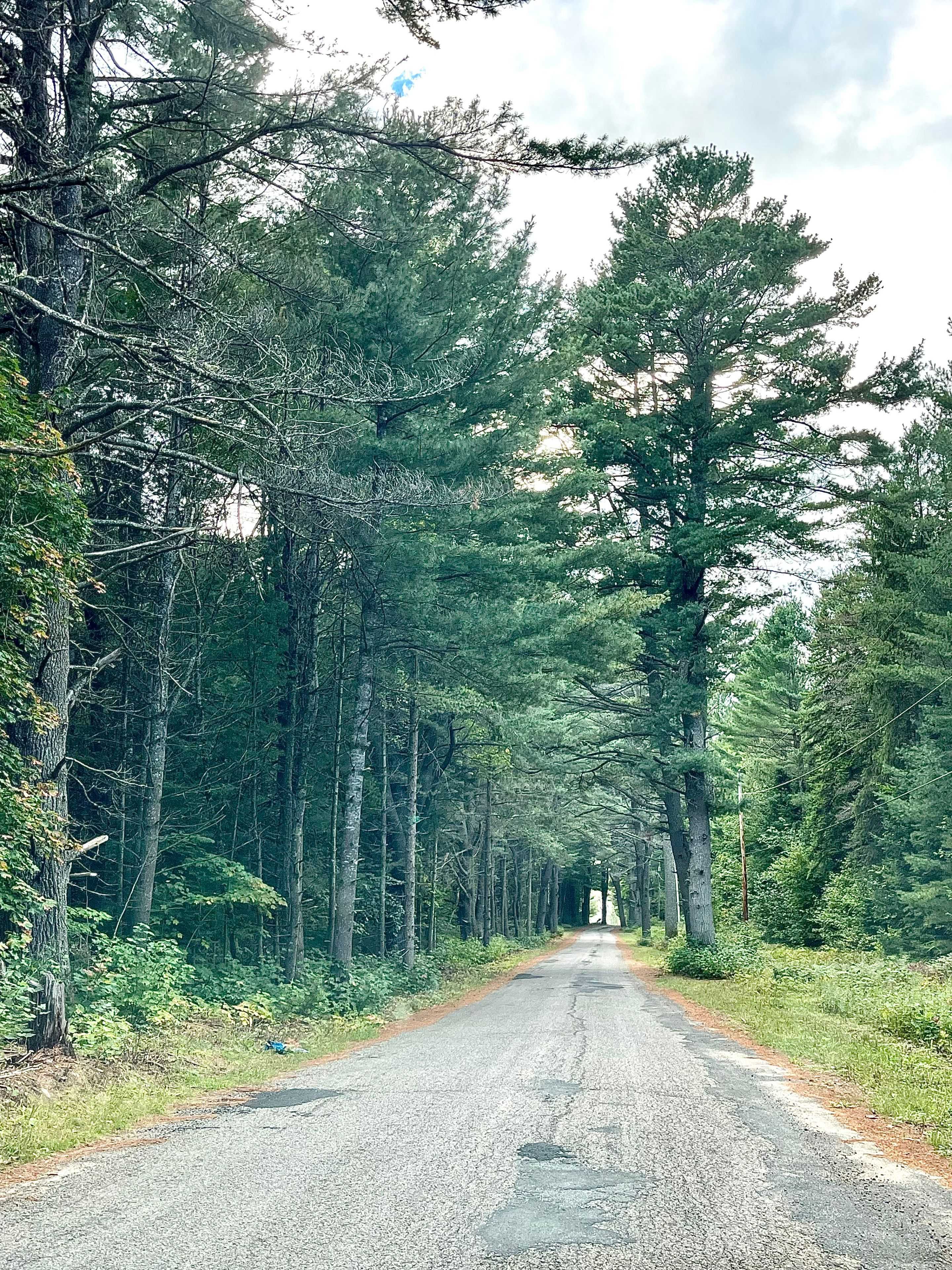 0 CARDWELL LAKE RD, Huntsville, ON P0B 1M0