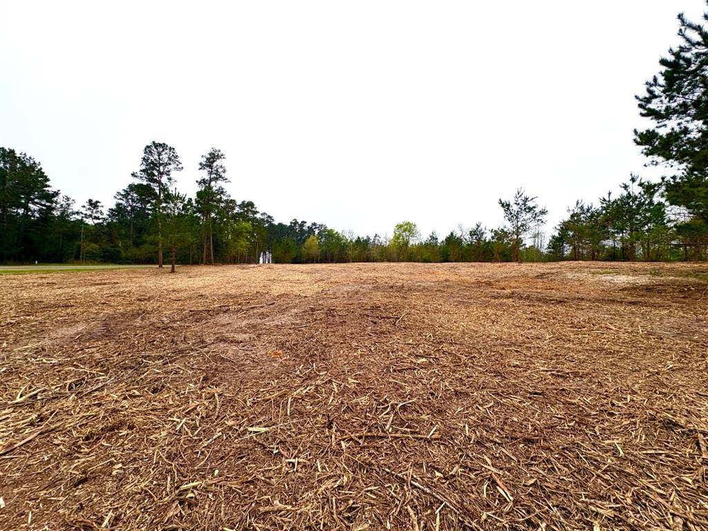 TBD (Tract B) FM 711, Center, TX 75935