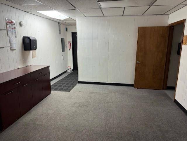 217 N State, Alma, MI 48801