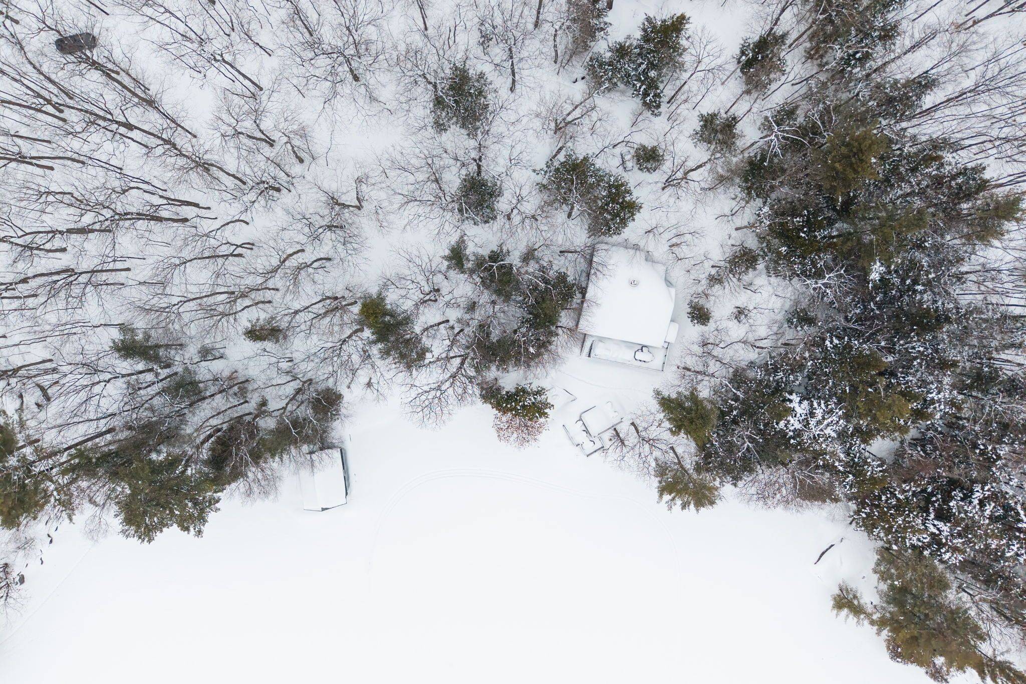 1246 Purdy RD, Muskoka Lakes, ON P0B 1M0