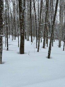 0 Providence DR, Algonquin Highlands, ON K0M 1S0