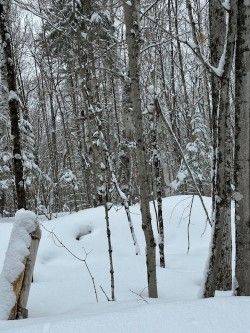 0 Providence DR, Algonquin Highlands, ON K0M 1S0