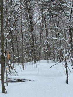 0 Providence DR, Algonquin Highlands, ON K0M 1S0