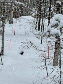 0 Providence DR, Algonquin Highlands, ON K0M 1S0