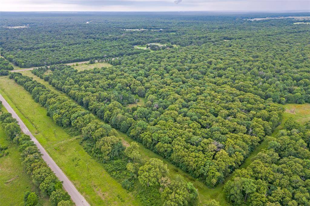 0 An County Road 493, Cayuga, TX 75832