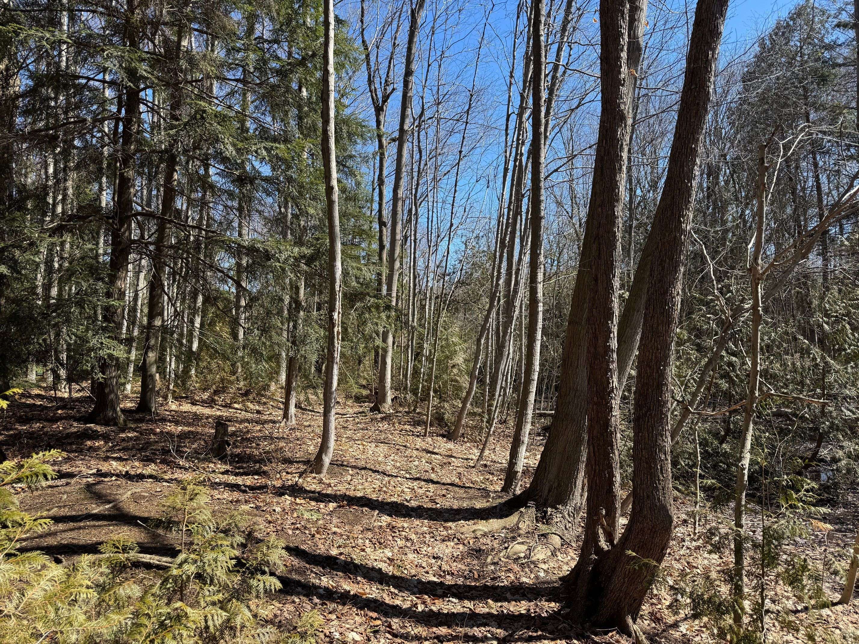 28 George ST, Bluewater, ON N0M 1G0