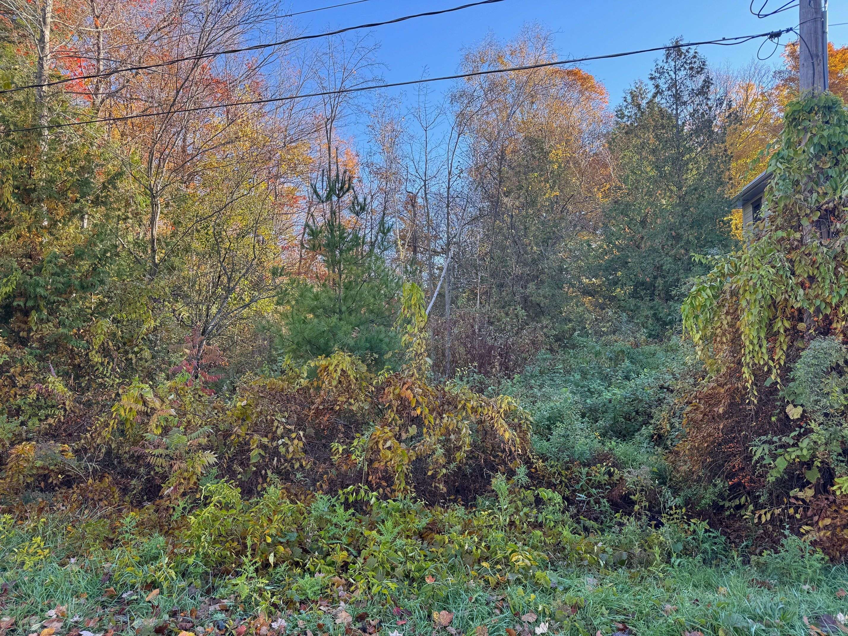 28 George ST, Bluewater, ON N0M 1G0