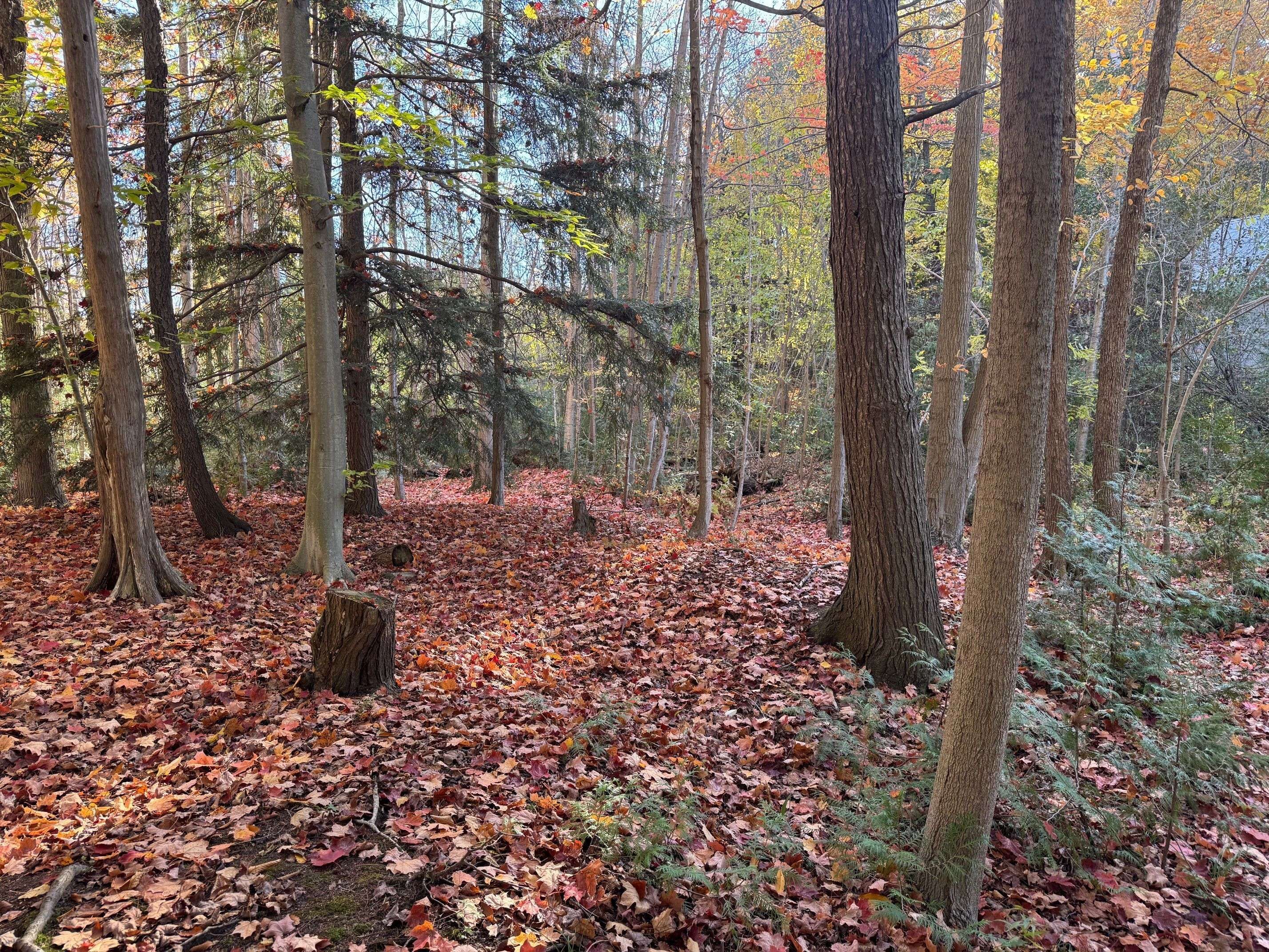 28 George ST, Bluewater, ON N0M 1G0