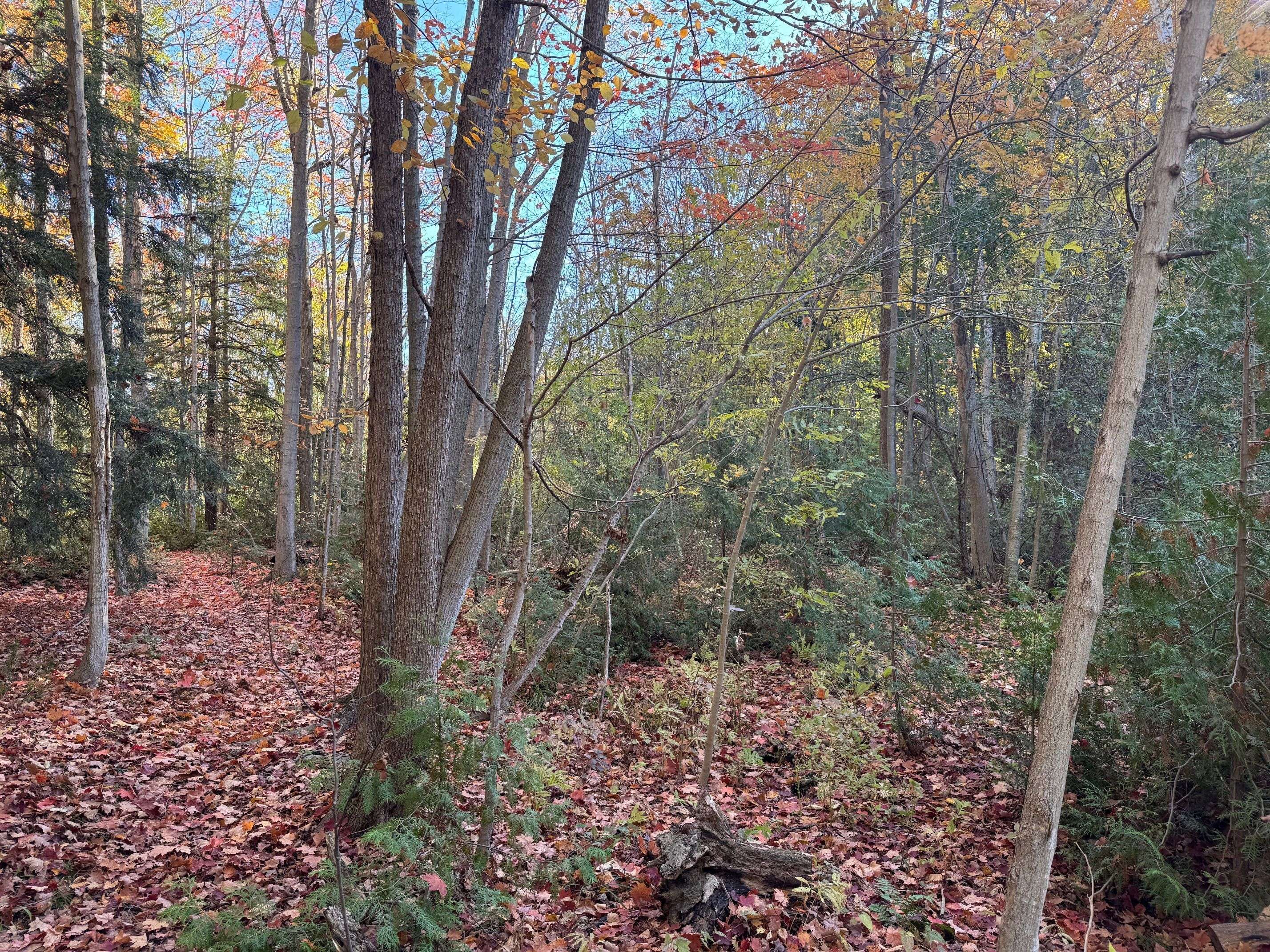 28 George ST, Bluewater, ON N0M 1G0