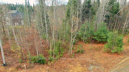 Lot 16 Nicklaus DR, Bancroft, ON K0L 1C0