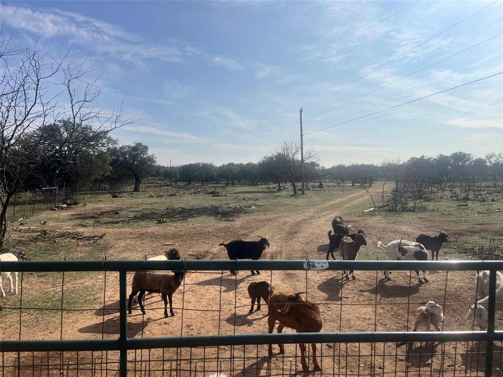 TBD CR 147, Brownwood, TX 76801