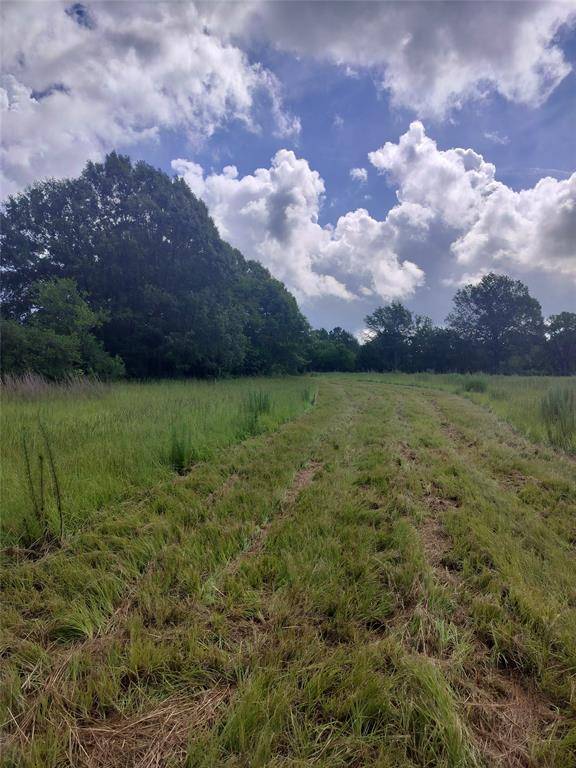 TBD FCR 280, Oakwood, TX 75855