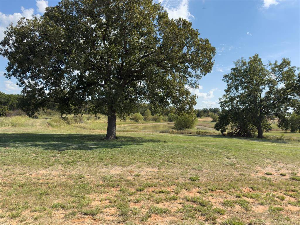 330 Rolling Ranch Boulevard, Alvord, TX 76225